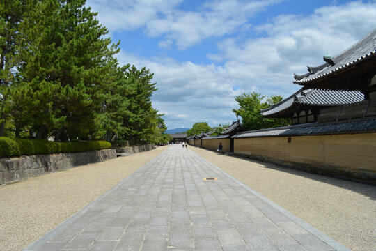 Beautiful shot of a road surrounded by traditional Japanese buildings in Ikaruga, Japan