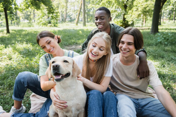 Obraz premium Smiling interracial teenagers petting retriever in park