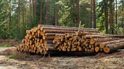trunks of sawn trees piled in a heap
