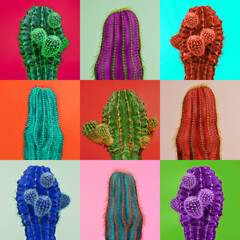 Contemporary art collage. Bright vibrant colors. Composite image of pieces of multicolored cactus, cacti isolated over colored background.