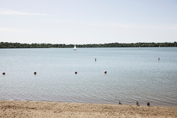 Empty beach with three ducks on Lake Harriet in Minneapolis MN