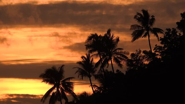 sunset and tropical island through palm leaves. Orange Sky Silhouette Palm Tree Branch.Dramatic sky Colorful dark.Beautiful sea waves on ocean.
