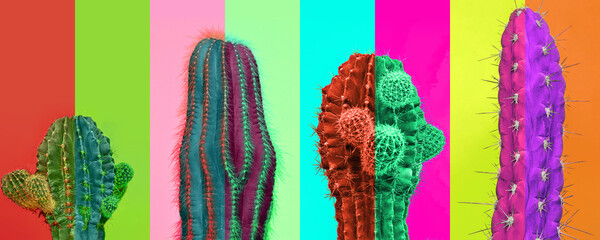 Contemporary art collage. Bright vibrant colors. Horizontal composition with multicolored cactus,...