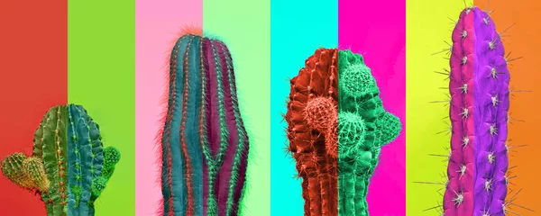 Fototapeten Contemporary art collage. Bright vibrant colors. Horizontal composition with multicolored cactus, cacti isolated over colored background © master1305