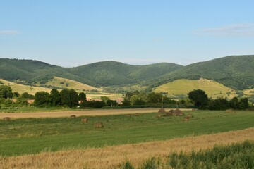 Fototapeta na wymiar Beautiful landscape, with trees and hills on Trascau mountains in Transylvania, Romania.