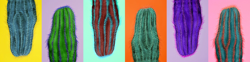Contemporary art collage. Bright vibrant colors. Horizontal composition with multicolored cactus, cacti isolated over colored background
