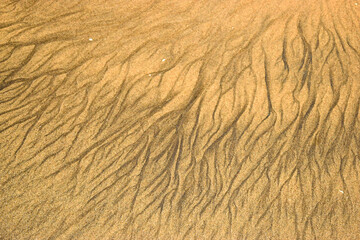Beach Sand Beautiful Pattern Texture Design Yellow background