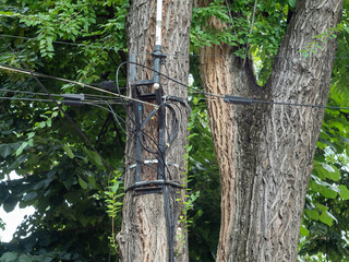 The wires and antenna of the mobile phone are attached to the wood with iron brackets.