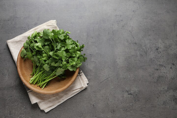 Bunch of fresh green cilantro in bowl on grey table, top view. Space for text