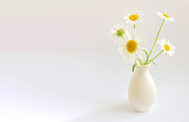 Flower composition. High key photography with white chamomile in a clay vase on a white background. 