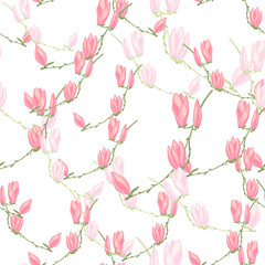 Seamless pattern Magnolias on white background. Beautiful texture with spring flowers.