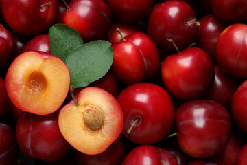 Fresh ripe cherry plums as background, closeup