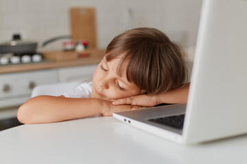 Portrait of little girl sleeping in front of a laptop computer staying on table in kitchen, small preschooler girl watch cartoon and fall asleep, childhood.