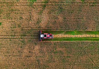 Fototapeta na wymiar Combine harvester working in wheat field. Top view of the harvesting machine during cutting crop in a farmland. Aerial view of Combines during grain harvesting. Flour and bread production.
