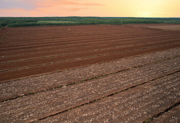 Peat extraction site. Harvester at collecting peat on peatlands. Mining and harvesting peatland. Area drained of the mire are used for peat extraction. Drainage and destruction of peat bogs.