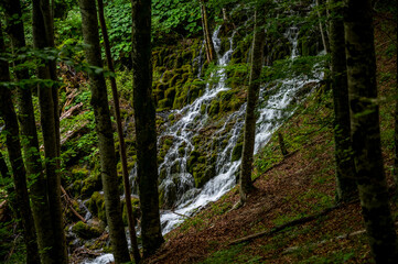 Plitvice Lakes, Croatia
