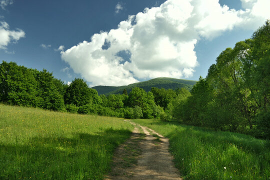 U st&oacute;p zielonych g&oacute;r.