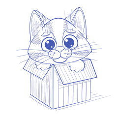 Cute funny kitten in a box. Vector illustration. Hand-drawn sketch.
