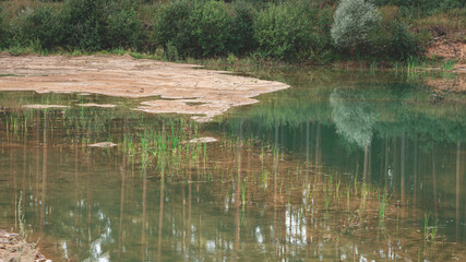 shallow water pond forming in sand clay and gravel quarries in Latvia. Reflection of pine trunks in calm mirror of water