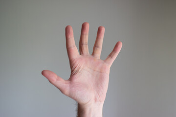 Caucasian male hand making generic gesture. Close up shot, opened palm, isolated on gray background
