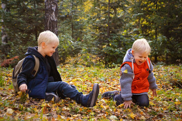 Two blonde smiling brothers playing in a forest glade in early autumn