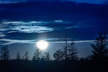 Winter moonrise at Mer Bleue.