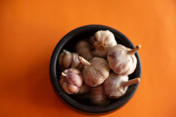 Garlic (on orange background) 