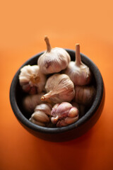Garlic (on orange background) 