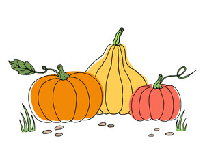 Autumn illustration with pumpkins, grass and pebbles. 
Harvest time. Vector image in the doodle style.