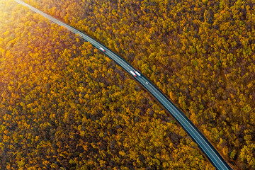 several trucks driving along a beautiful autumn highway across the autumn forest. cargo transportation. Cargo delivery. Sunset. Top view. Drone photo