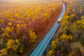 red truck drives on an asphalt road along  the autumn forest. cargo transportation. Cargo delivery...