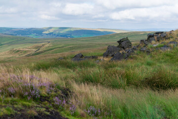 Obraz premium view of the mountains