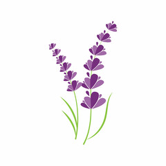 Obraz na płótnie Canvas Lavender Logo Template vector symbol nature