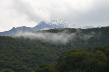 mountains in the fog