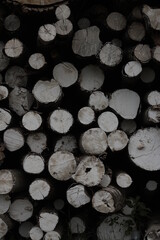 logs