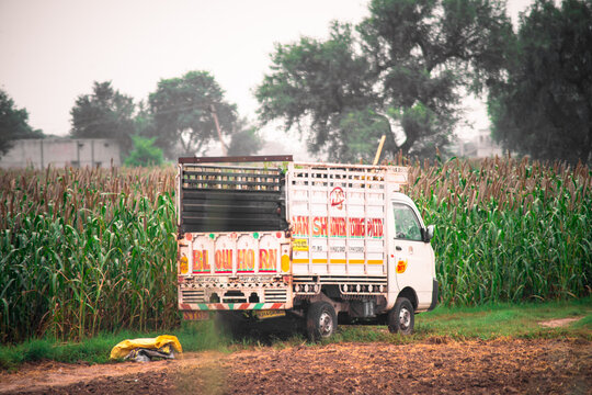 small autorickshaw standing near a feild full of ripe corn ready to harvest in India showing the monsoon and high production of the country