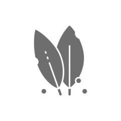 Bay leaf, spice, herb grey icon. Isolated on white background