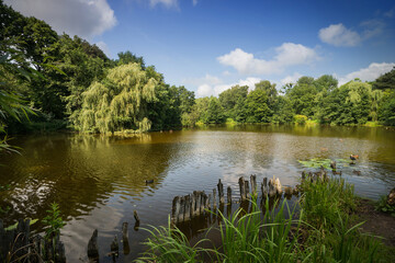 Pond in Botanical Garden, Kaliningrad, Russia