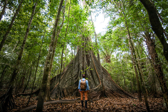 Explorer travelers observing the trees of the Amazon
