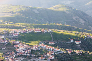 Obraz premium Douro Valley, Portugal. Top view of river, and the vineyards are on a hills. Summer day in terraced vineyards. Concept for travel in Portugal and most beautiful places in Portugal. Unesco