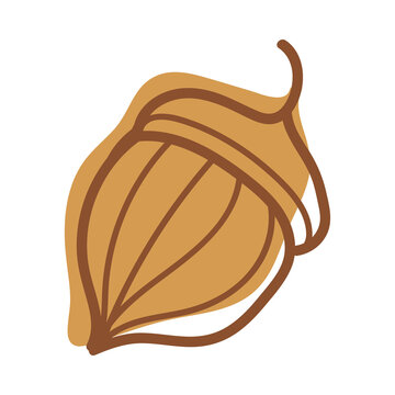 recommend clip art: Acorn or Oaknut in Shell as Autumn and Fall Symbol Vector Illustration