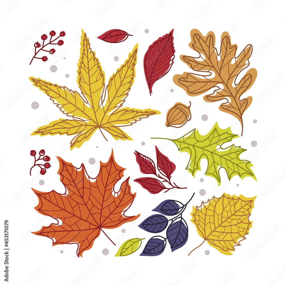 Poster square shape with bright autumn foliage of different leaf color vector arrangement