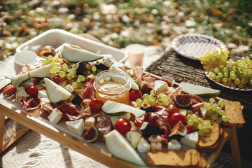 Cheese board with maasdam, bree, cheddar, prosciutto, salami, figs, honey, grapes, pears and cherry tomatoes on wood. Charcuterie board and Antipasto. Italian appetizers for outdoor gathering party