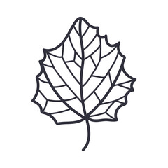Hand Drawn Autumn Leaf Contour or Outline Vector Illustration