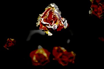 bud of color artificial flower on dark background