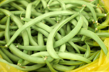 fresh green beans for cooking, seedless fresh beans, american atlantis fine beans,