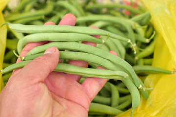 fresh green beans for cooking, seedless fresh beans, american atlantis fine beans,