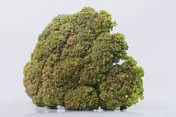 Broccoli on white isolated background. 