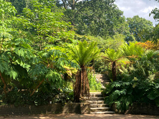 Holland Park, London