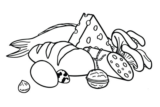 Set products vector illustration isolated on white background. Coloring book with products for kids.